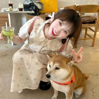 够姜小强爱上够靓小奥 焦点海报